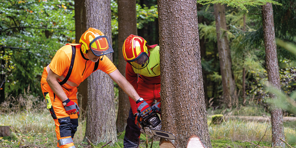Casque forestier Protos® Integral Forest - Forstreich Maschinenbau